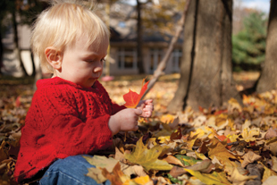 When a heart murmur isn't innocent